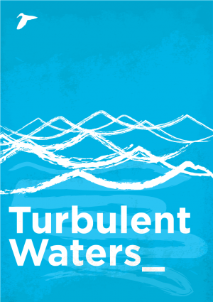 Turbulent Waters